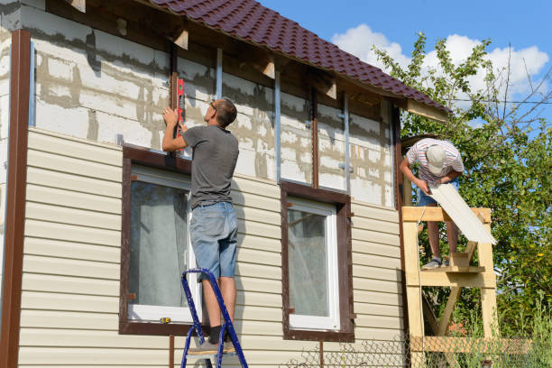 Best Siding Removal and Disposal  in Vley, AL