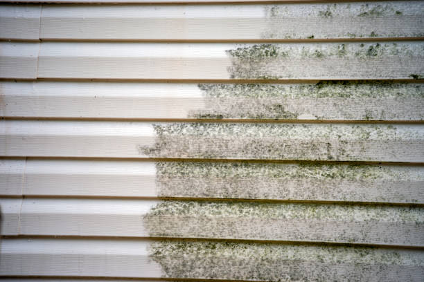 Best Engineered Wood Siding  in Vley, AL