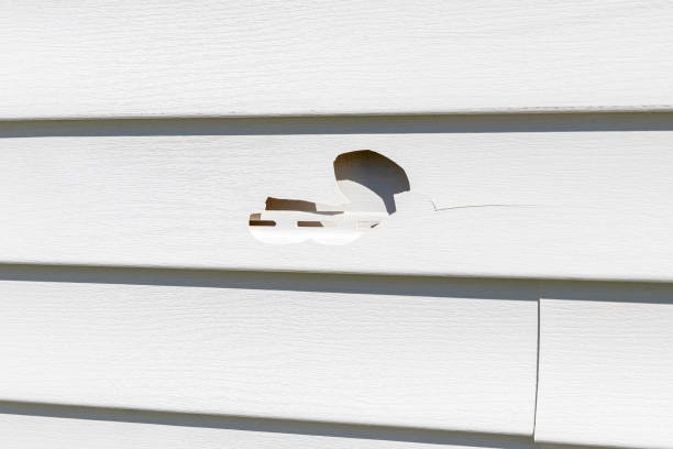 Historical Building Siding Restoration in Valley, AL