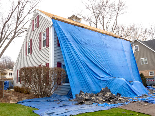 Best Composite Siding  in Vley, AL