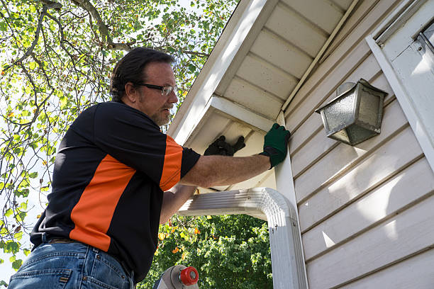 Best Historical Building Siding Restoration  in Vley, AL